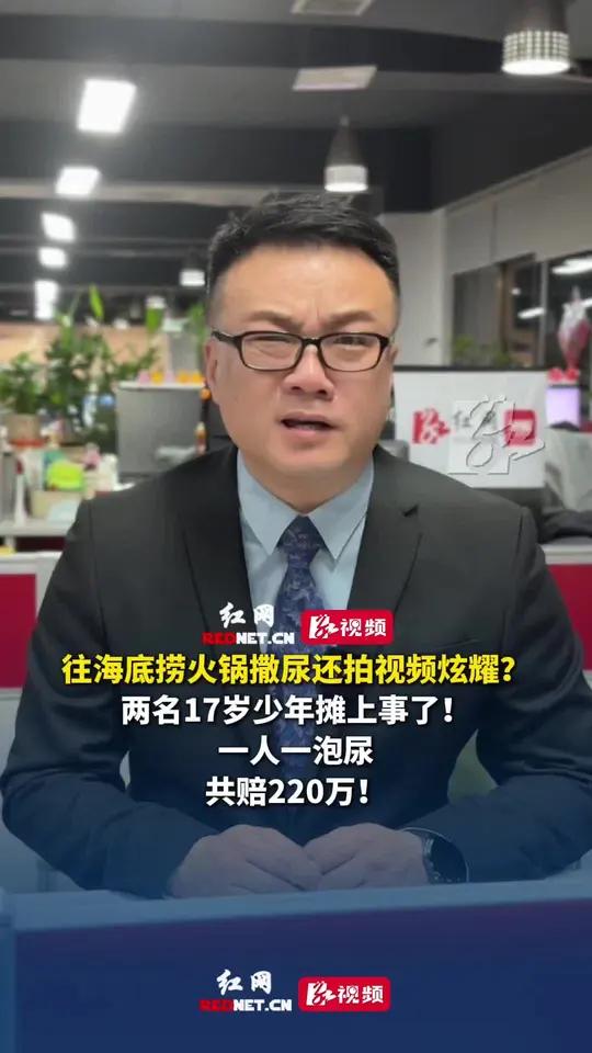 往海底捞火锅里撒尿还拍视频炫耀?两名17岁少年摊上事了!一人一泡尿,共赔220万元
