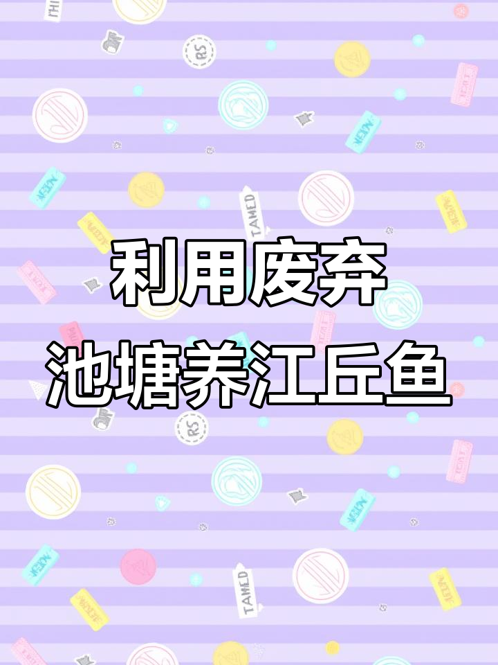 荒废鱼塘变宝地,养殖江丘鱼致富新路