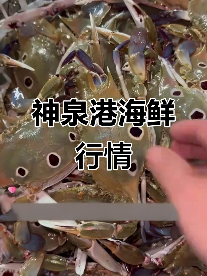潮汕神泉港海鲜价格大揭秘,白刺虾、金线鱼等一应俱全