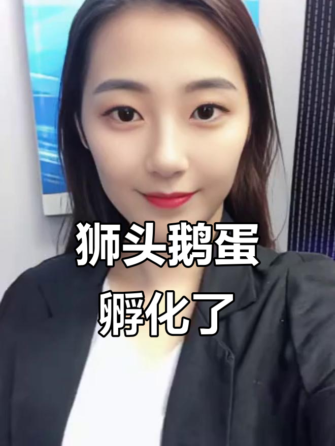 狮头鹅蛋孵化20天，照蛋情况大揭秘