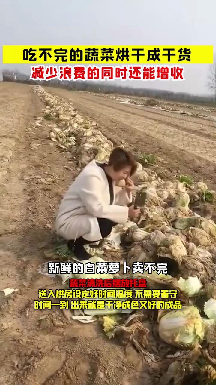 种植的蔬菜,可以变成新的物料出现在市场上 农副产品烘干 农产品深加工 农副产品深加工