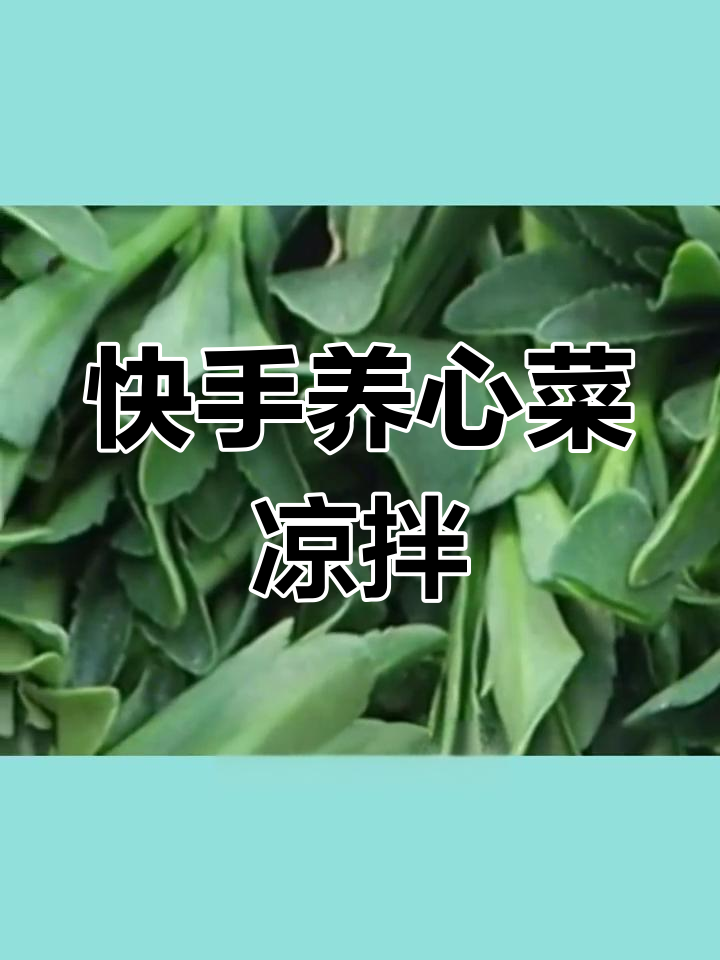 养心菜凉拌做法,清脆爽口又营养