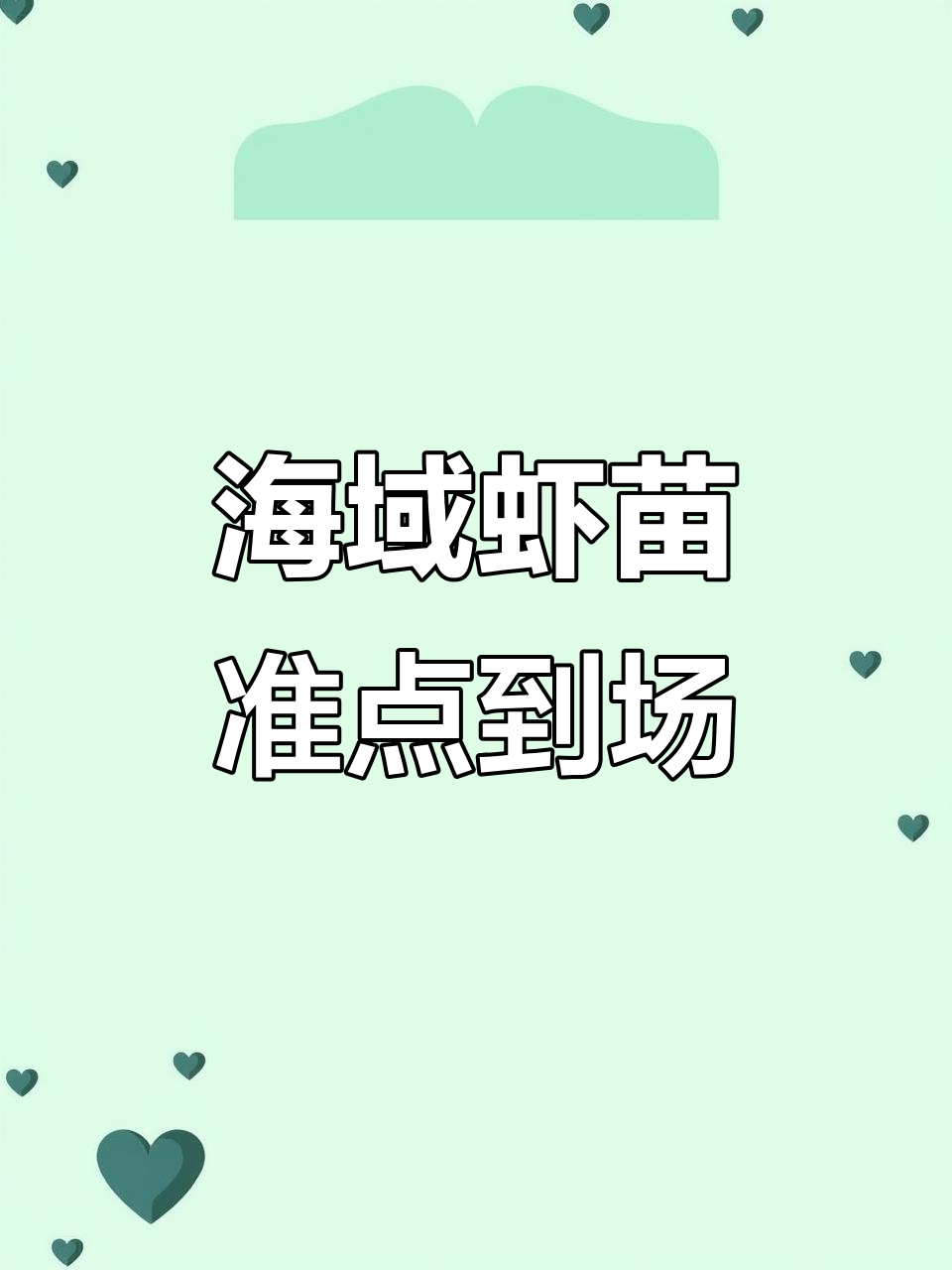 海南海域泰力虾苗准时到达,晚风明月下的相思之情