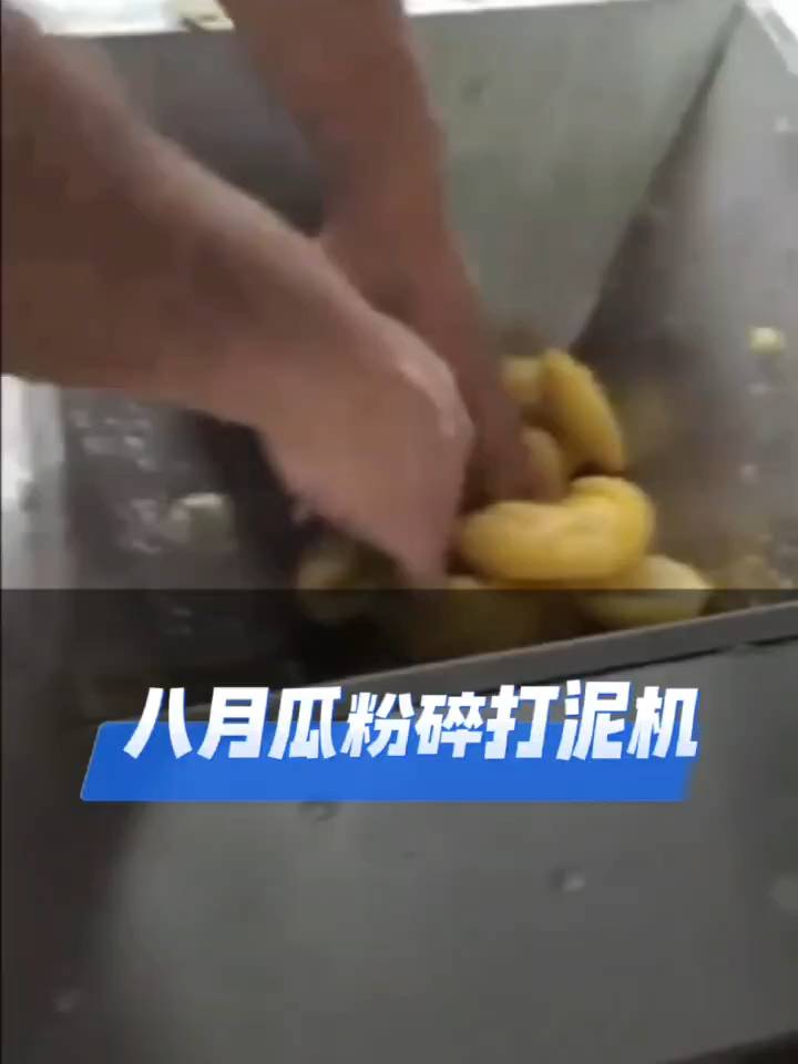 青菜浆果粉碎打浆机
