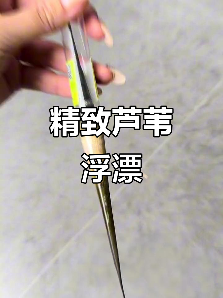 芦苇浮漂带你钓鱼爆护,夜光设计让你不漏任何信号