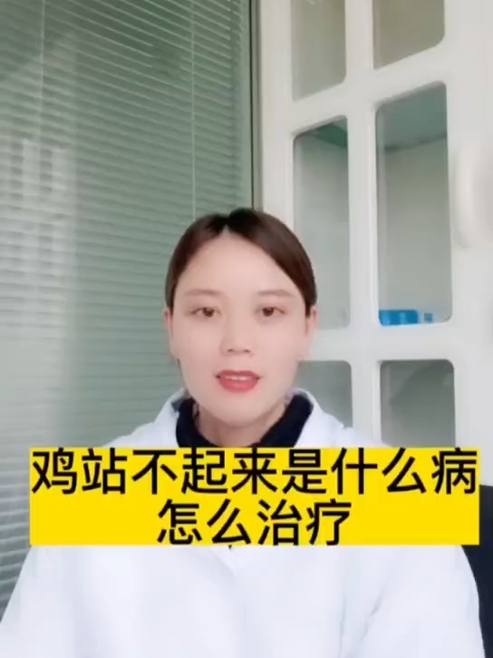 禽医恒艳谈鸡站不起来是什么病怎样冶