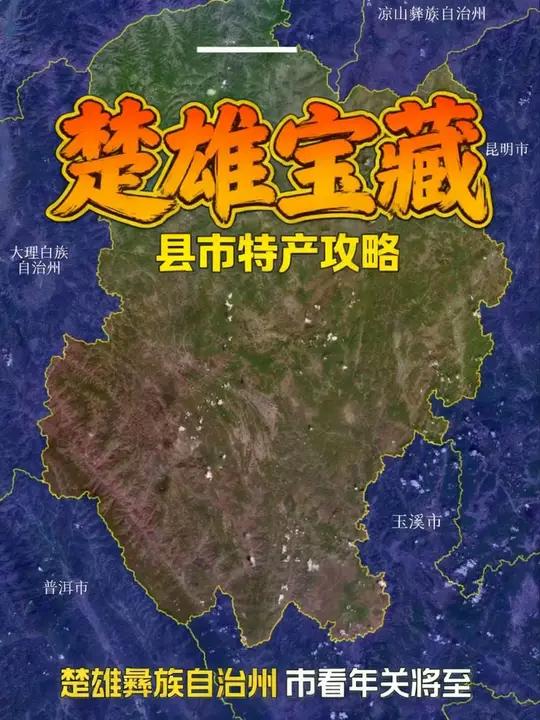 过年回楚雄带点啥？这十个县市的隐藏宝藏，连本地人都抢！