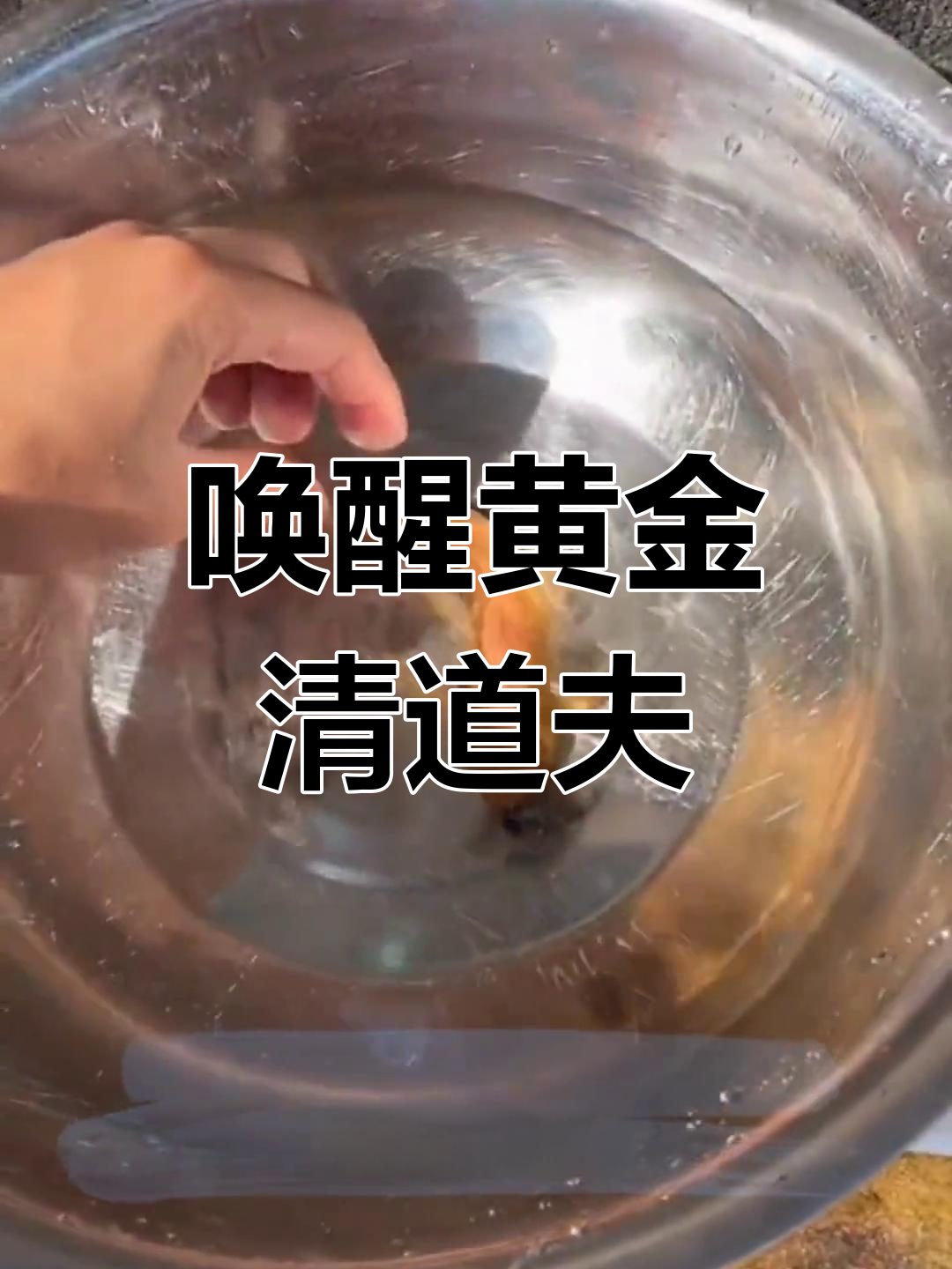黄金清道夫冬眠后能否复活?