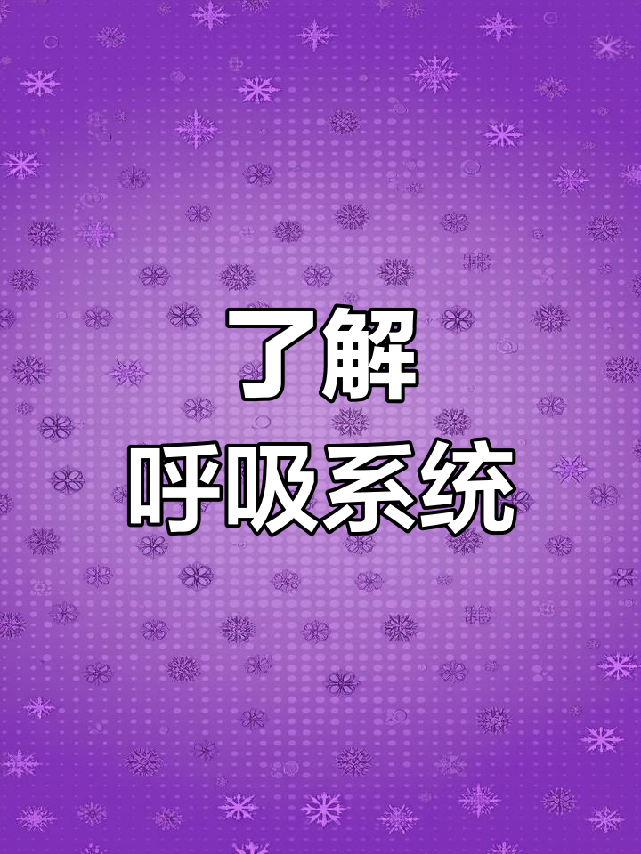 呼吸系统的结构与功能解析