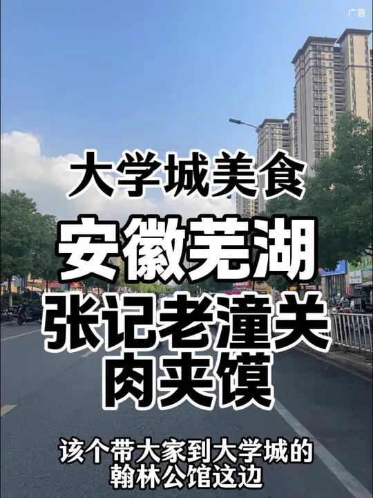 大学城翰林公馆的张记老潼关肉夹馍