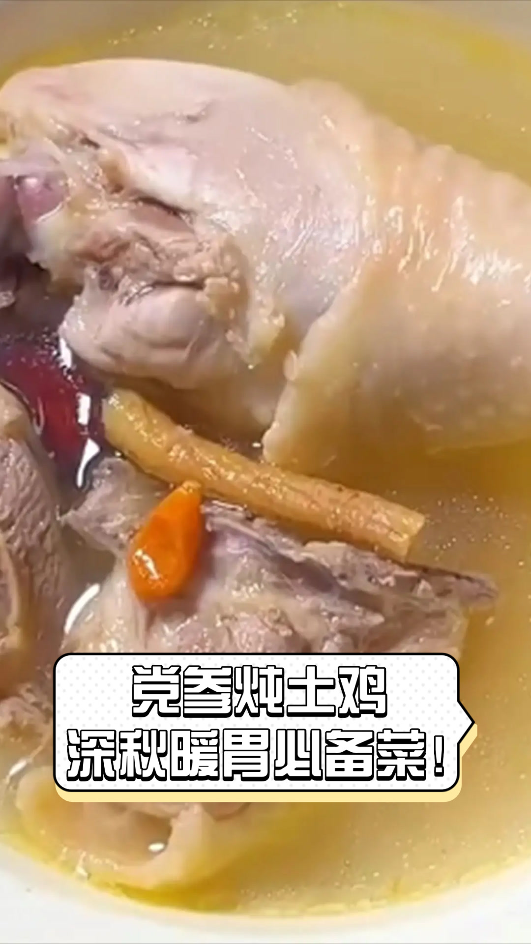 党参炖土鸡，深秋暖胃必备菜！