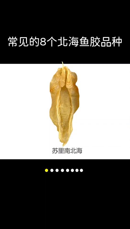 常见的北海鱼胶品种你都吃过吗?