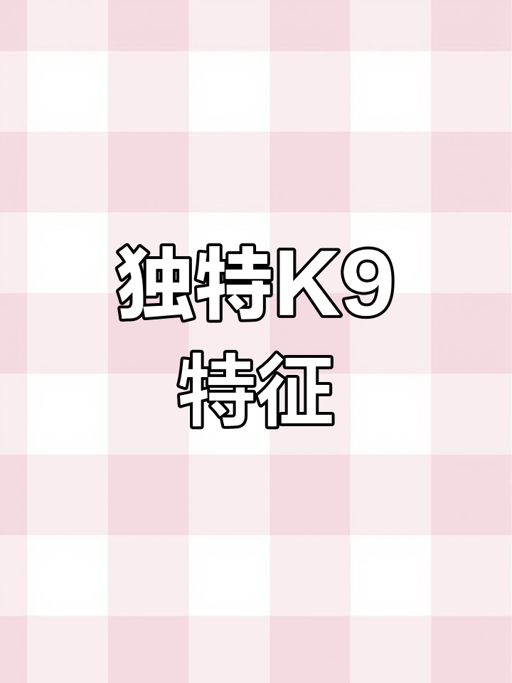 K901公鸡红羽黑尾，母鸡黄麻短体，早熟且羽毛亮丽