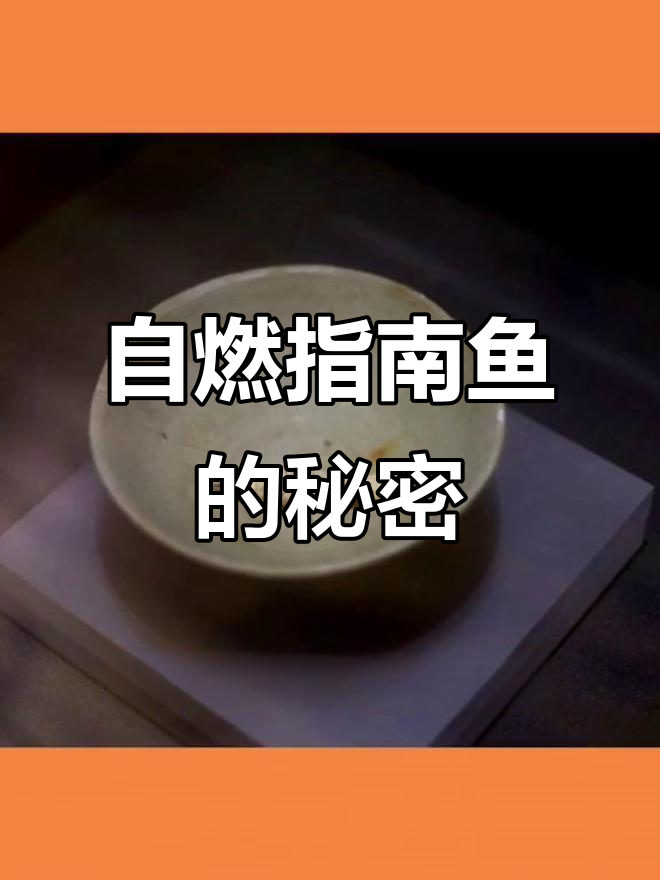 曾龚亮发明的指南鱼：从北宋到南宋的航海奇迹