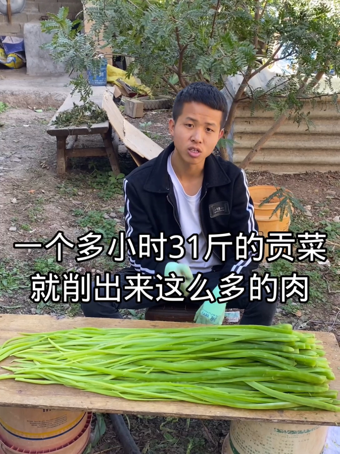 亲自测试看多少斤新鲜贡菜能做一斤贡菜干!