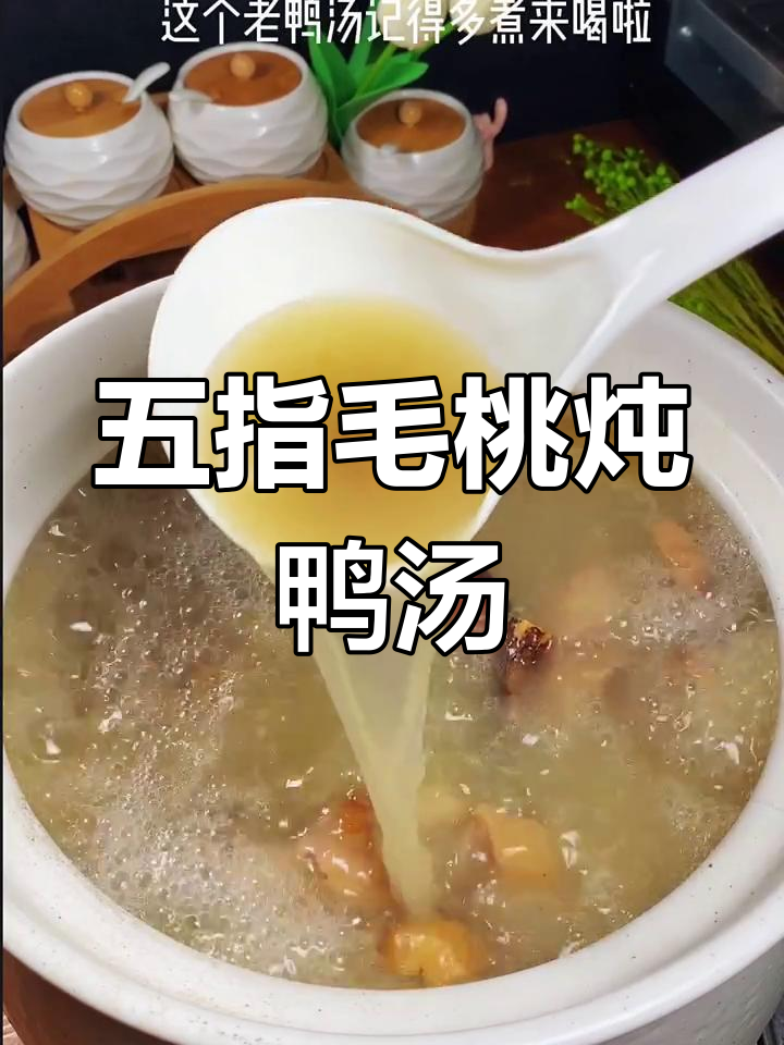 五指毛桃老鸭汤,祛湿提神又美味