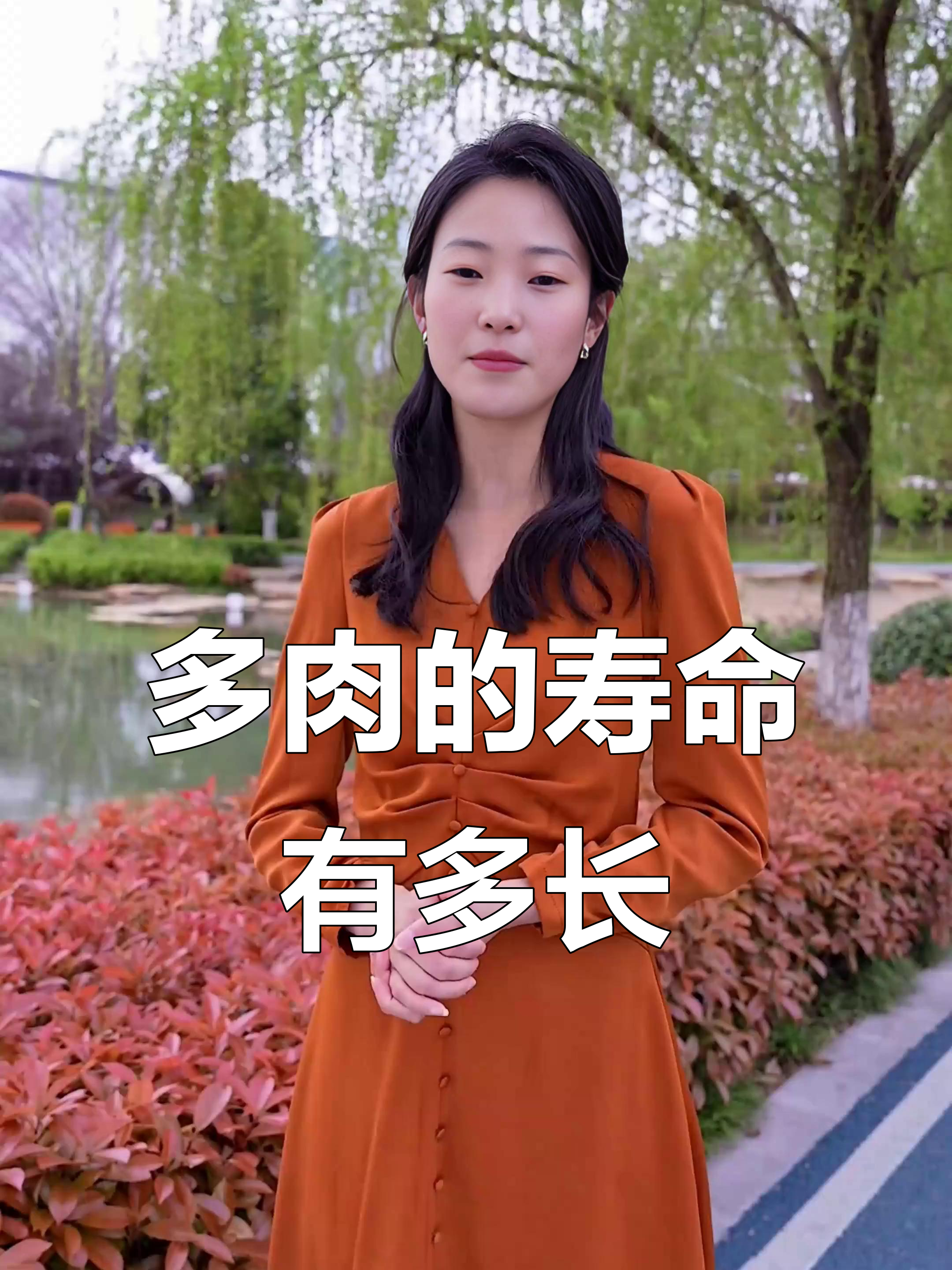 多肉植物能活多久？掌握这些养护技巧，轻松延长寿命