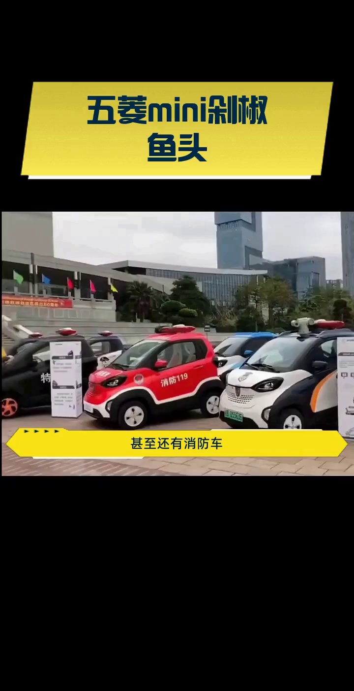 五菱mini剁椒鱼头