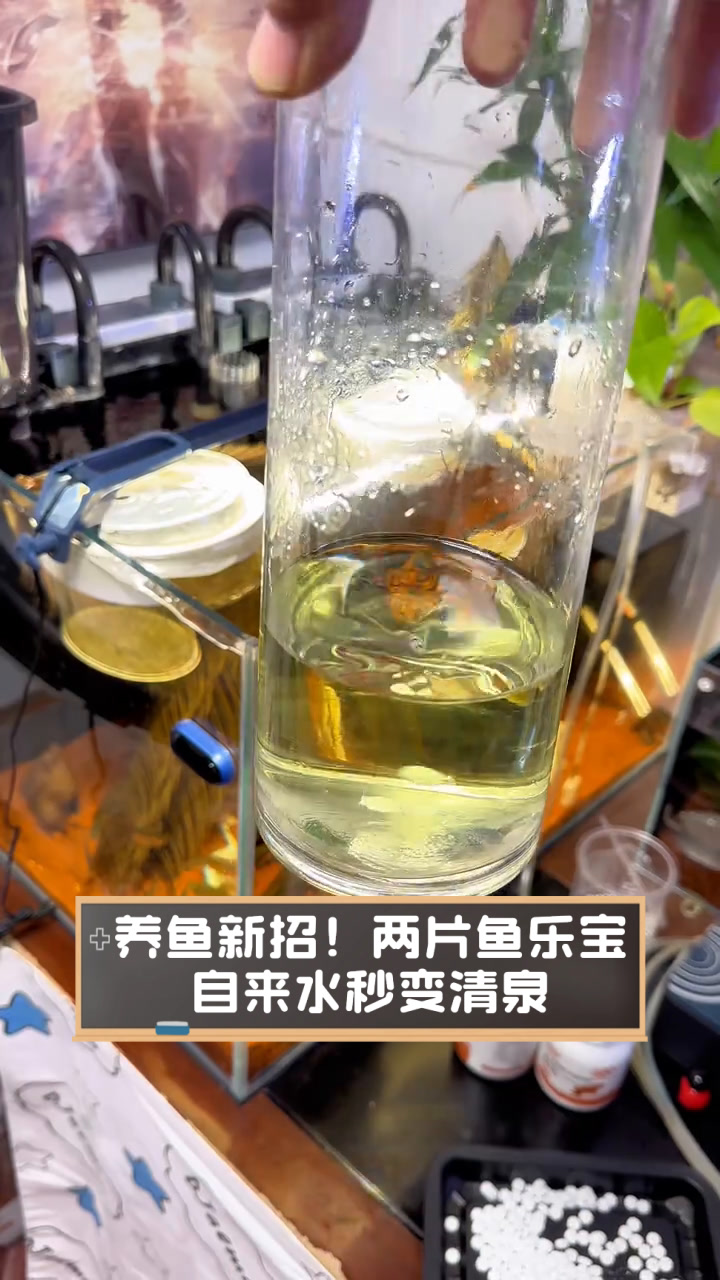 养鱼新招!两片鱼乐宝,自来水秒变清泉