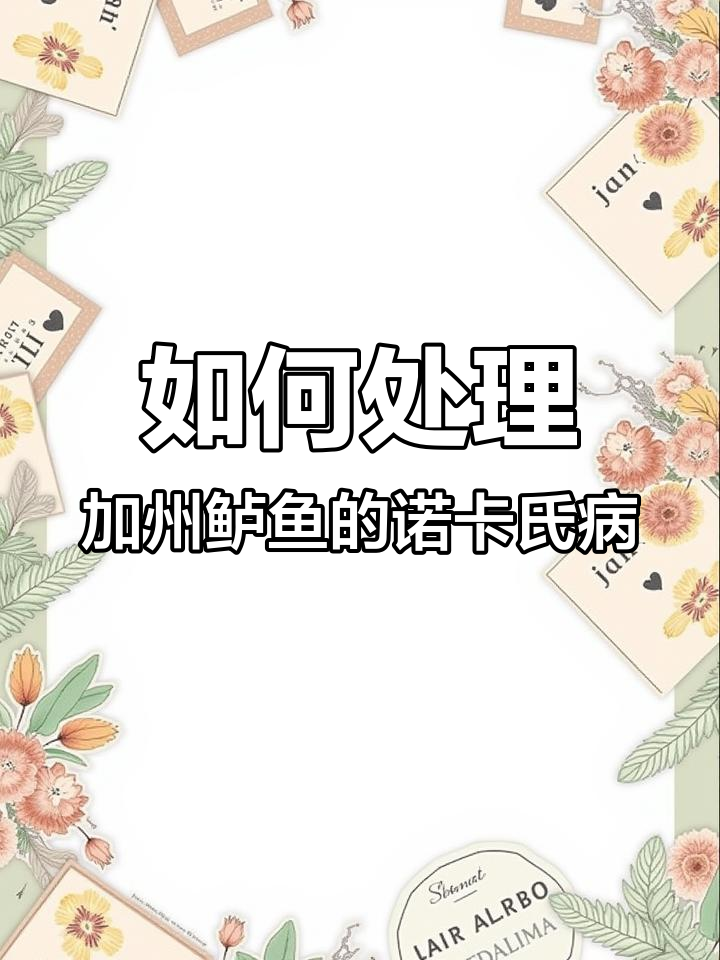 诺卡氏病高发,加州鲈鱼养殖如何应对?