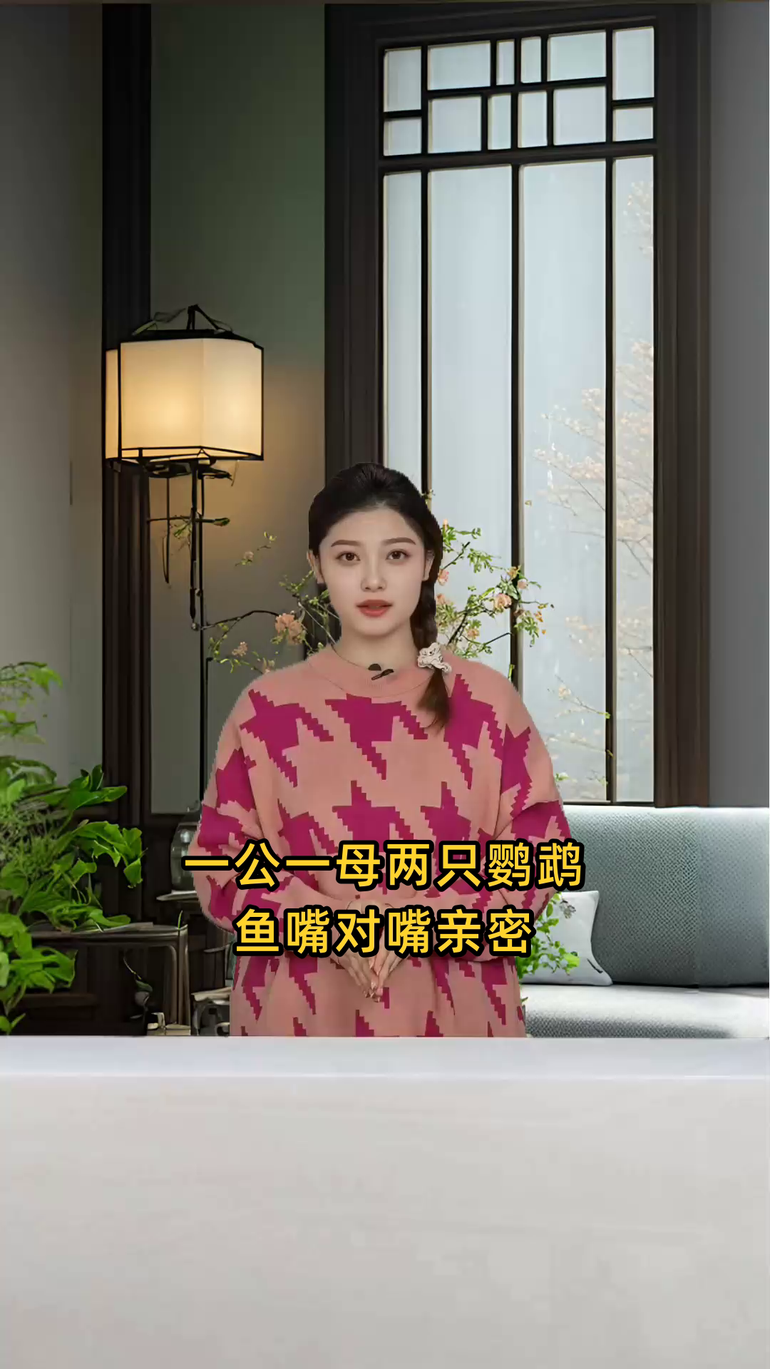一公一母两只鹦鹉鱼,嘴对嘴亲密接触,展现温馨画面