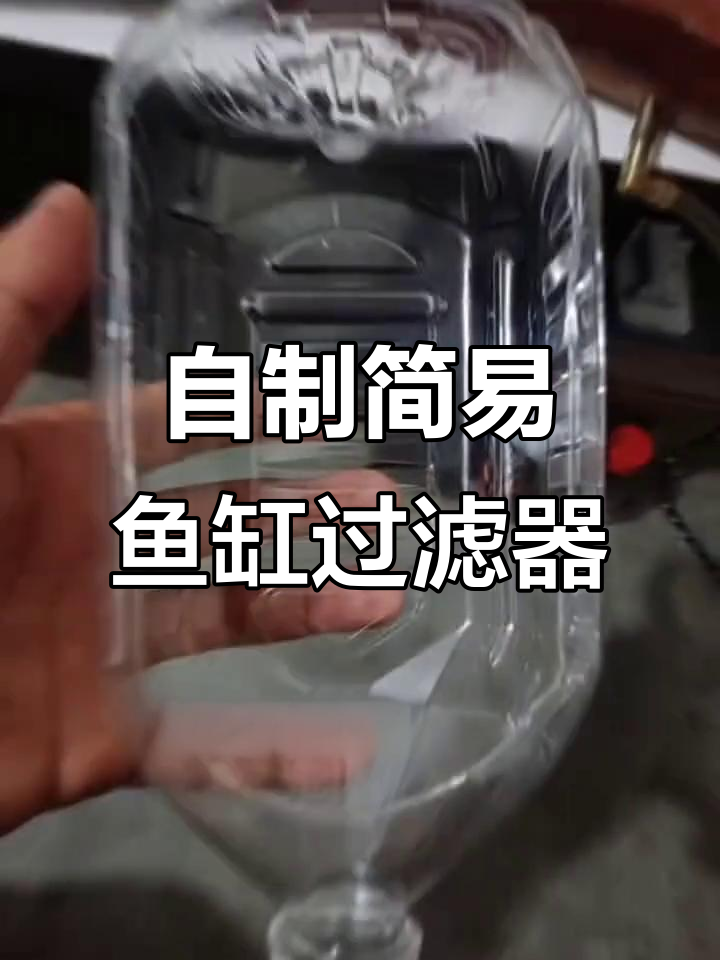 轻松DIY鱼缸过滤装置,材料简单又实用
