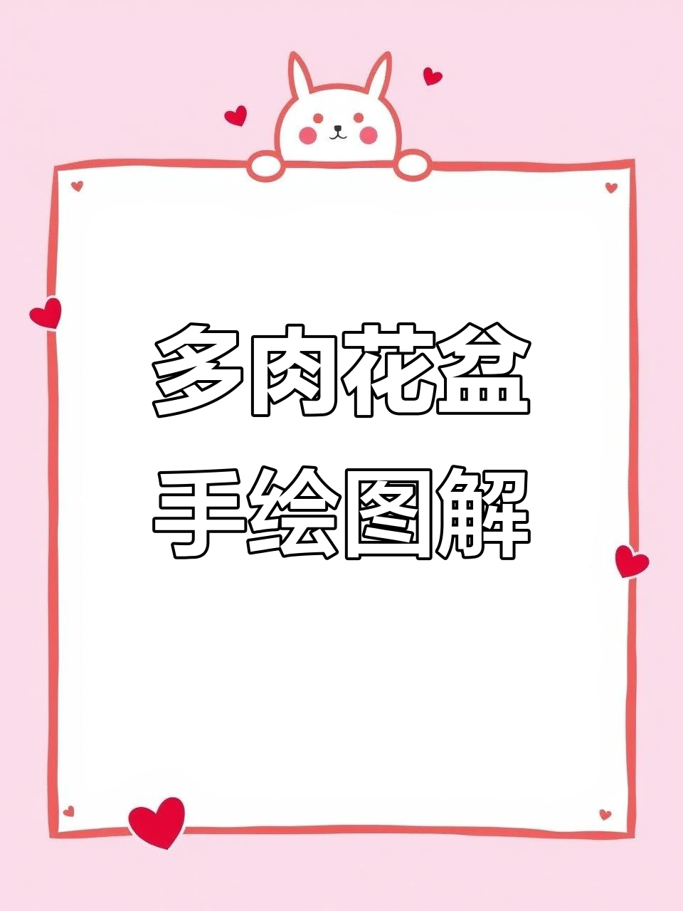 手绘多肉花盆教程,详细步骤教你轻松打造个性小花园