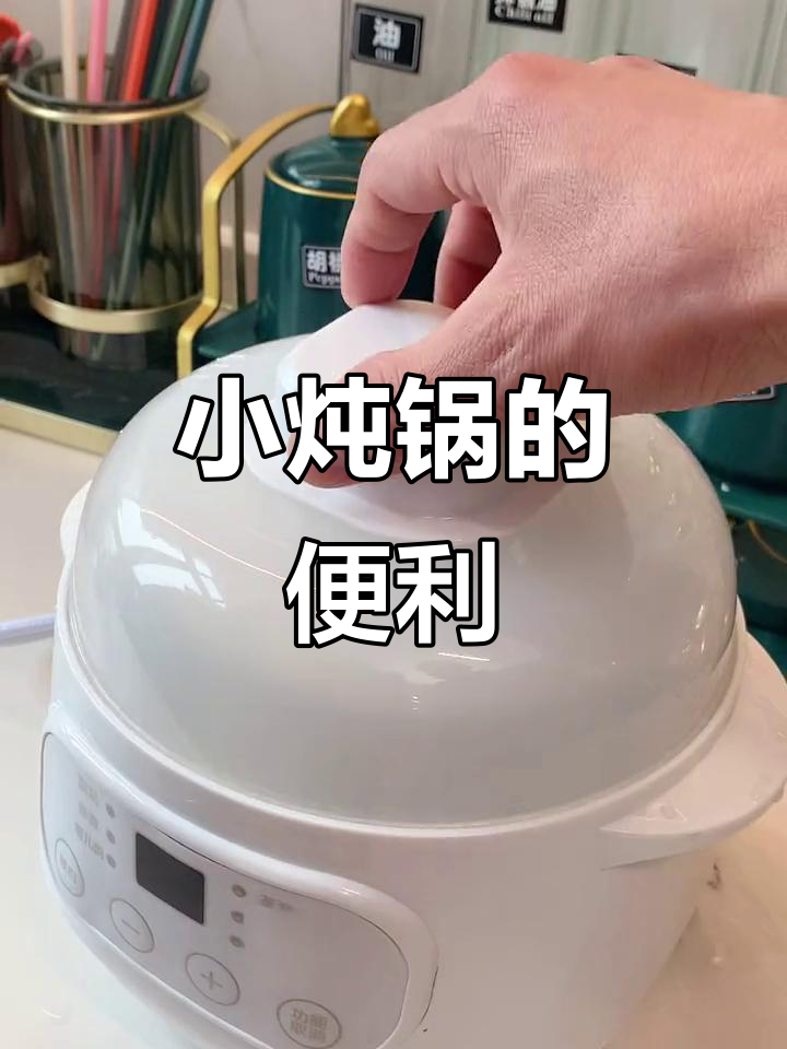 有了小炖锅,独自吃饭也不愁,办公室家用两全其美
