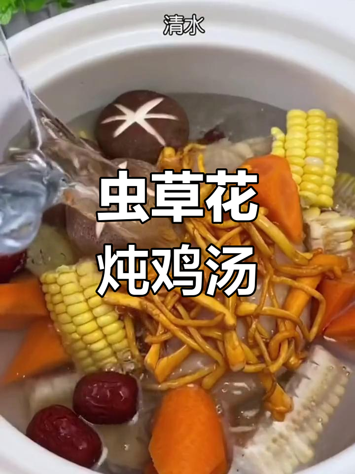 高山虫草花炖汤,营养满分的家常做法