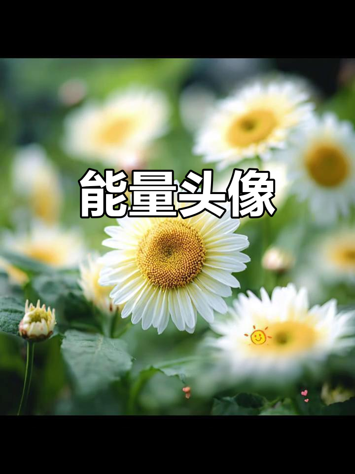 2025头像，简约却充满力量，专属背景与壁纸