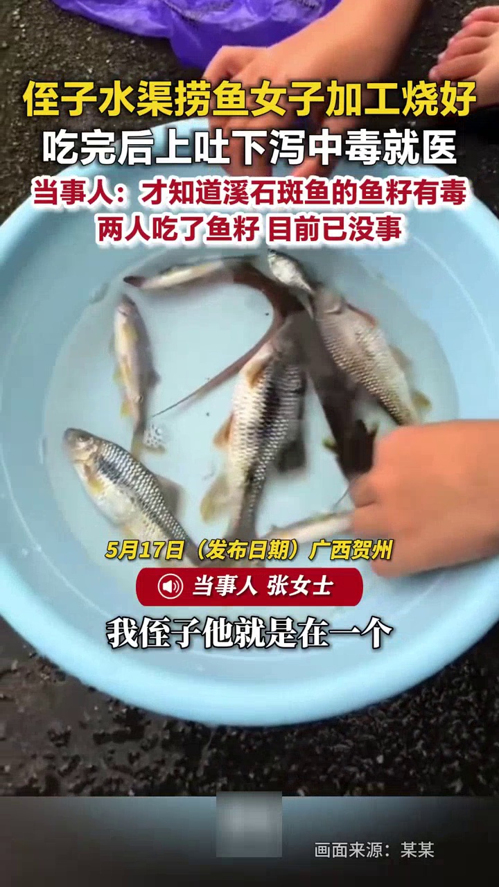 侄子捞的鱼女子加工烧好，吃后上吐下泻：才知道溪石斑鱼鱼籽有毒