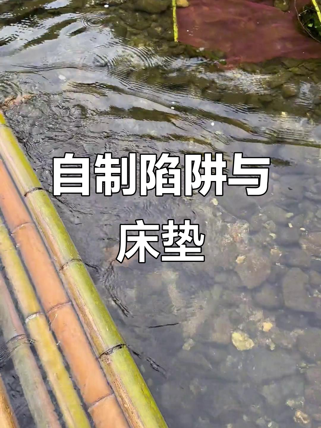 野外生存大挑战：用竹片和破网打造温馨小屋，捕虾技巧全揭秘