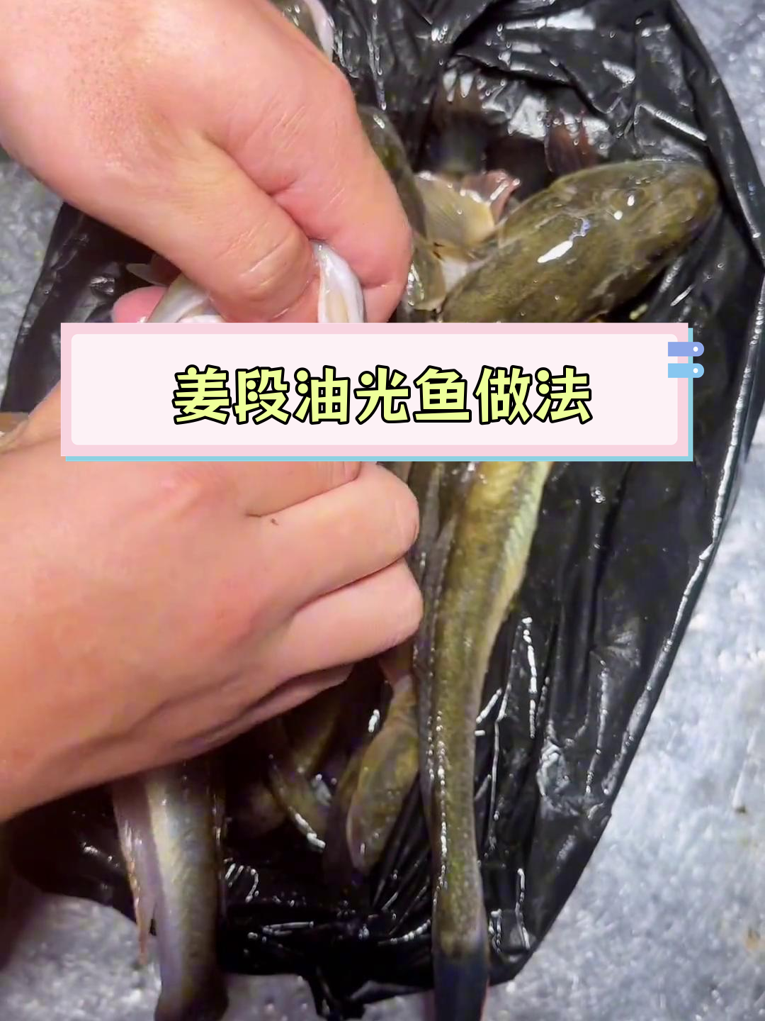 油光鱼炖法全攻略,酱香浓郁