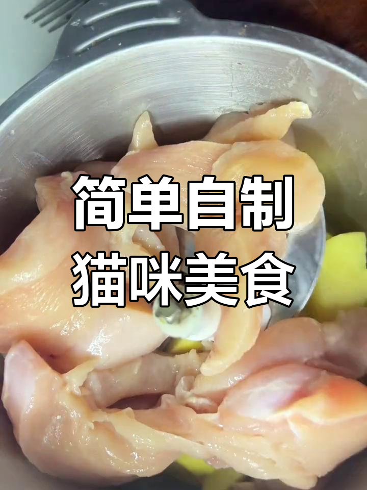 自制猫饭大成功!土豆鸡胸肉蒸一蒸,小奶猫吃得超香