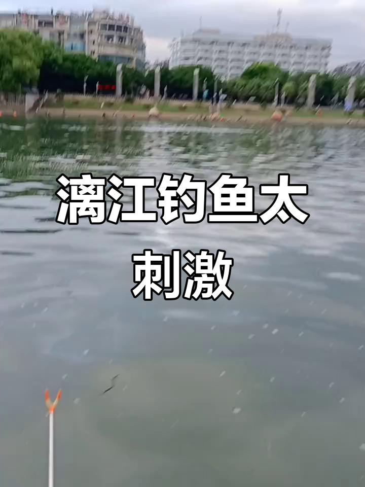 桂林漓江空军基地钓鱼体验,比初恋还激动!