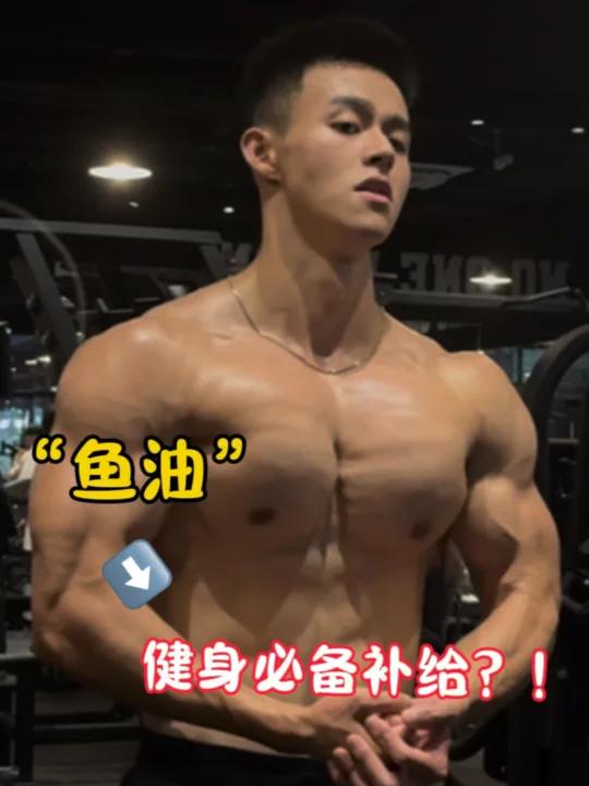 鱼油—健身必备补给