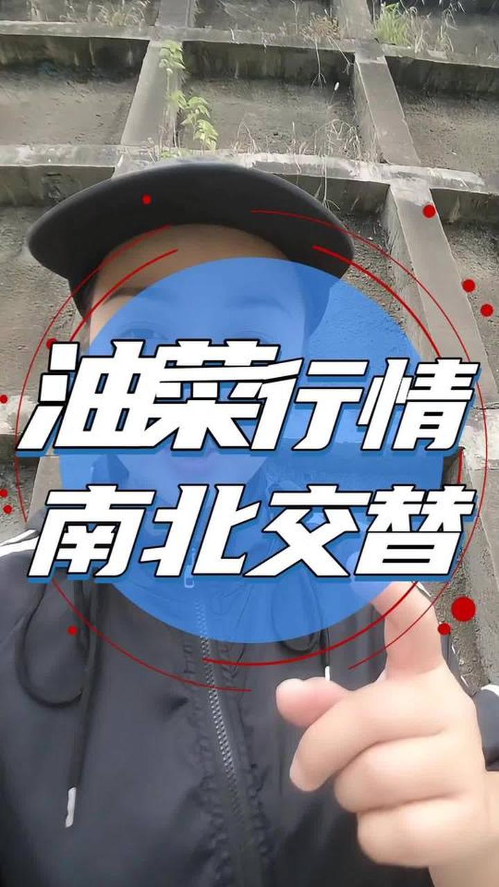 油菜行情走势呈现南北交替态势