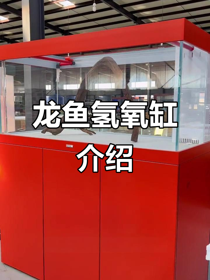 风水尺寸龙鱼缸,现代极简设计,双水位智能调节