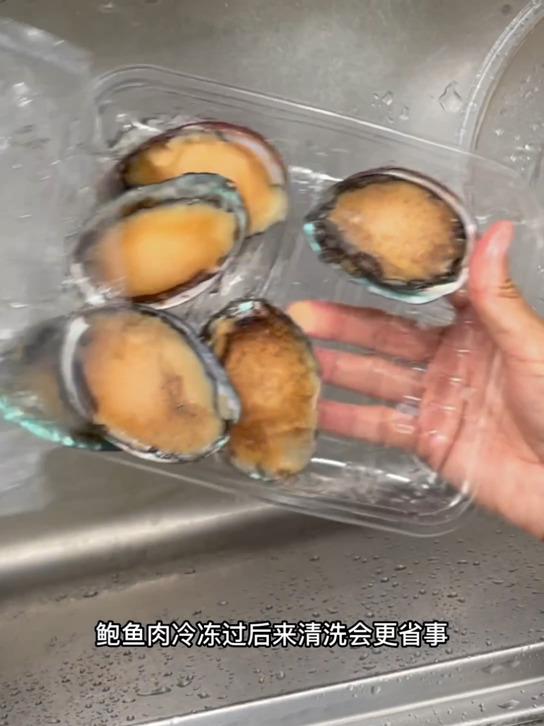 家常海鲜处理技巧:鲍鱼清洗方法