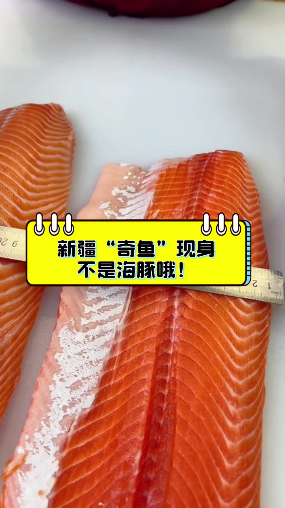 新疆“奇鱼”现身,不是海豚哦!