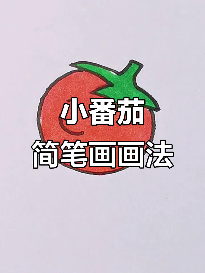 番茄简笔画,轻松学会画小西红柿
