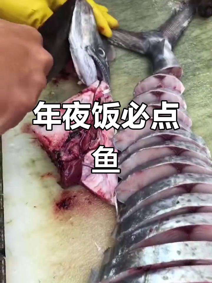 海南大扁鲛,过年必备美味,年夜饭的压轴硬菜!