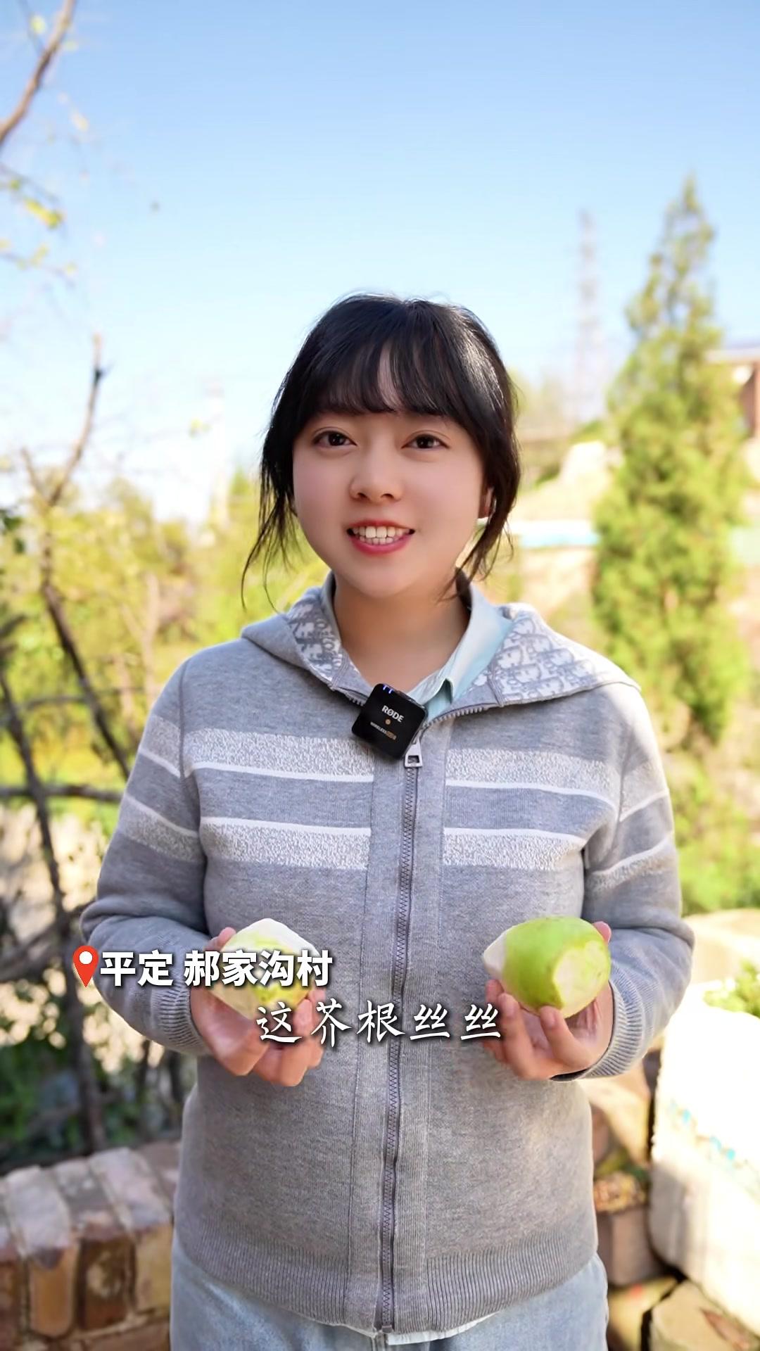 入冬必腌芥根丝丝酸辣劲儿直窜鼻尖开胃又过瘾！（采编：武琳雅楠）腌菜 芥菜 阳泉