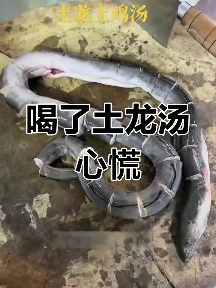 土龙汤补身,女人喝完慌张不已