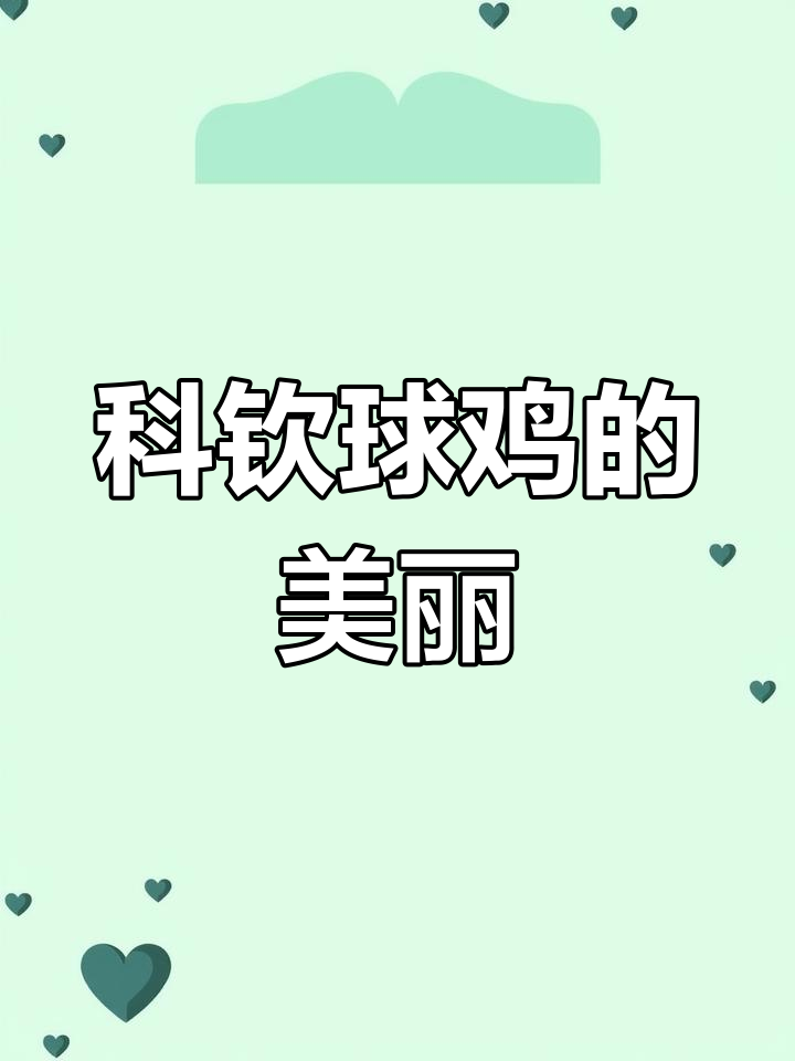 薰衣草科钦球鸡：纯正色彩与可爱身形的完美结合