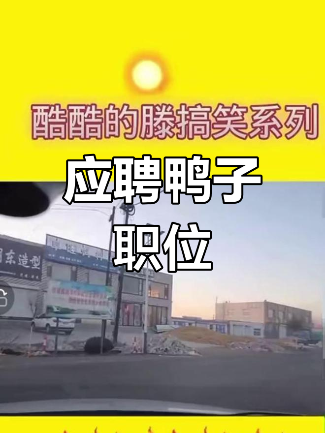 鸭子职业揭秘:水电焊与富婆需求
