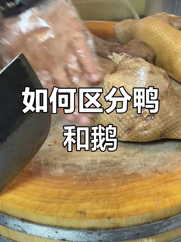鸭与鹅的明显区别,你能看出来吗?