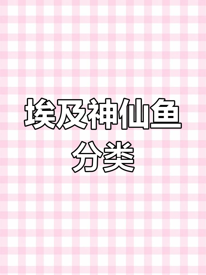 埃及神仙鱼品种与品相解析,选购注意事项