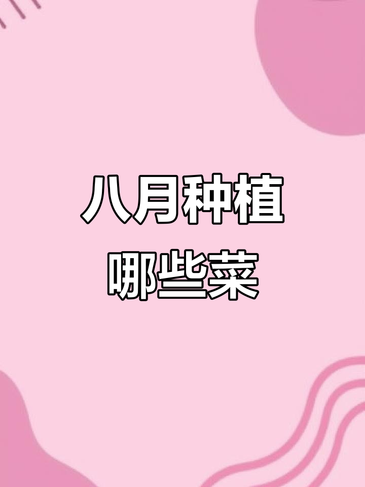 八月份适合种什么蔬菜?秋冬季节必备清单