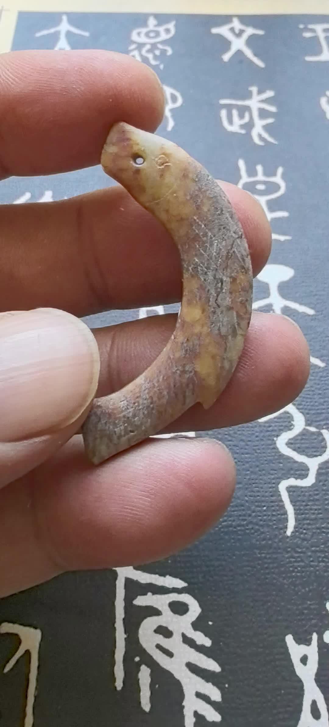 万物皆可盘 千年古珠 古珠之美 高古的玉雕小鱼,造型精美灰皮自然,简单盘玩光泽明亮,继续盘